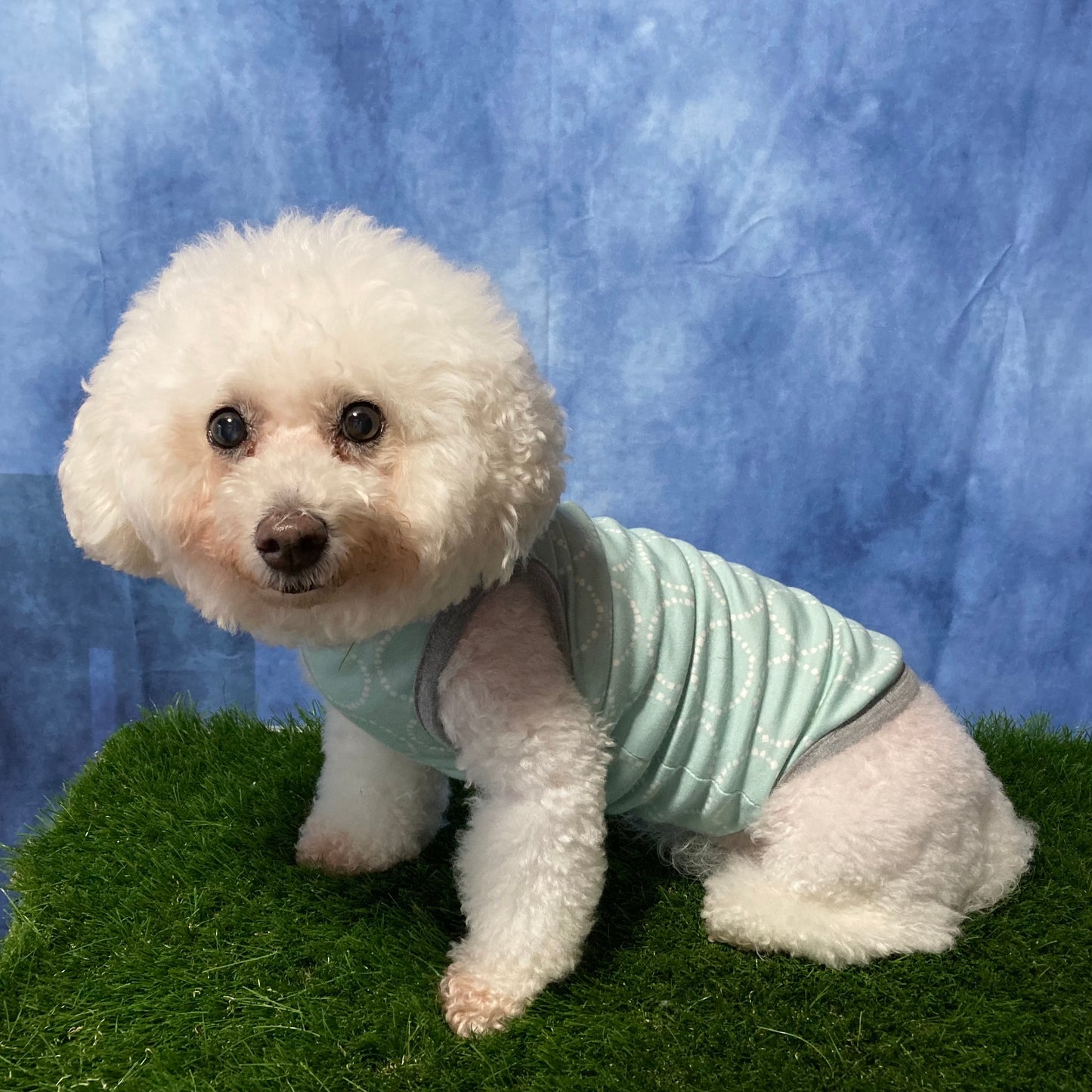 犬服パターン /袖なしTシャツ【胴長/短足】