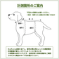 犬服パターン /ラグランTシャツ【細身】